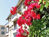 Apartment Bougainvillier 