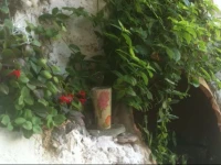 kiva Appartement 