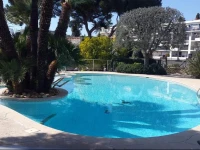 Le Celina 