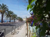 Locazur - appartement proche vieux port 