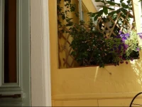 Villa Elisabet 
