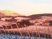 Chez Yolande 