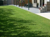 Camping en vakantiewoning Ut Tumpke 