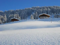 Chalets Savoie 2*