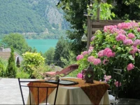 Fleurs du Lac 