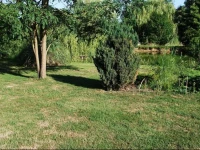 La BassiniГЁre 