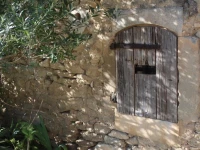 Les Guillaume Rey 