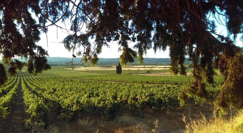 Domaine Conscience 