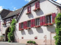 GГ®tes dans un domaine viticole 