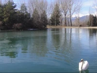 HГґtel Restaurant du Lac 