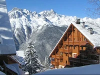 Chalet des Neiges Oz en Oisans 