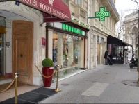 Hotel Royal ElysГ©es 