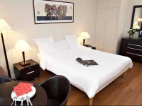 Aparthotel Adagio Access Paris Tour Eiffel St Charles 
