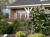 Chez Louise 