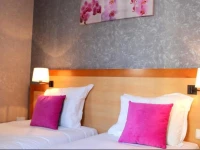 Hotel du Chemin Vert 