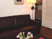 Appartement Mermoz Champs Elysees 
