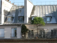 Au Bonheur des Dames 