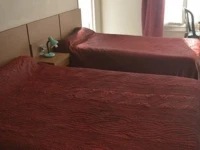 Grand Hotel du Prince Eugene - Prince Paris Hotels 