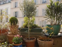 Les Toits de Montmartre 