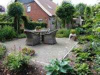 De Horst 