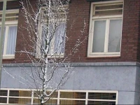 Huize de Hommert 