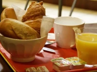 Young and Happy Hostel & Budget Hotel 