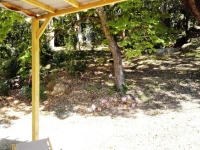 A Musella 