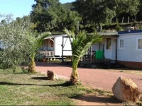 Mobile Home A Saliva 