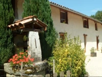 le paradis vert 
