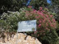 Les Terrasses de Scalegiu 