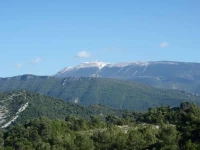 Le Mas des Eglantiers 