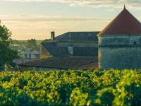 Domaine De Mercade 