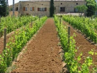 Domaine de lEscapade 