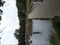 Zomerhuis De Zeedistel 