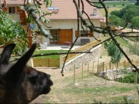 La BruyГЁre aux Lamas 