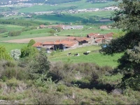 La Grange Mynas 