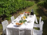 Domaine De La Grande Motte 
