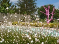 Au Cerisier Rose 