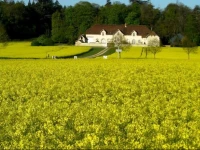 Domaine de la Maison Neuve 