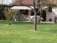 Cottage Danhube 