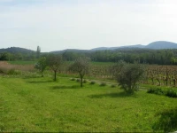 Domaine de Comiac 