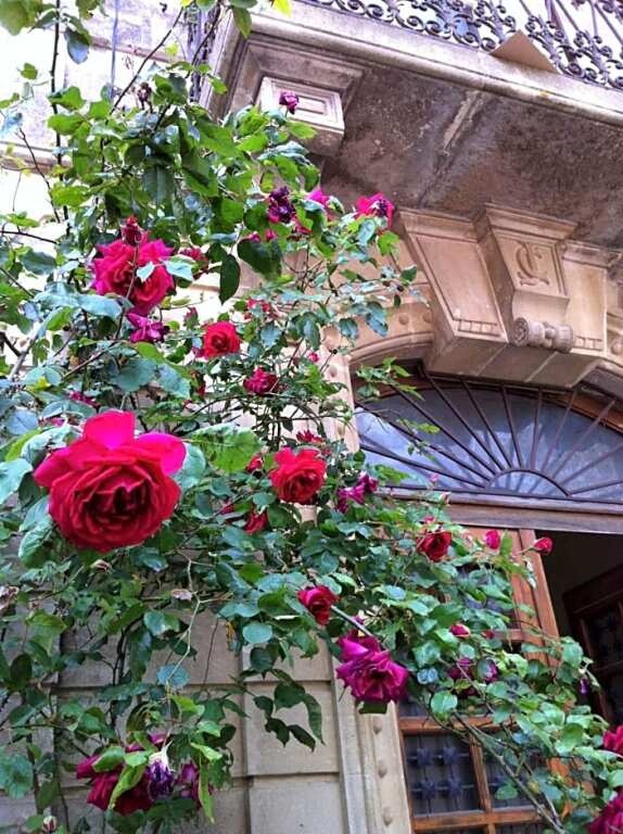 Belle maison dans le sud de la France 
