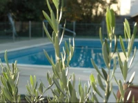 ibis Salon de Provence 