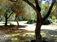 Residence MC 