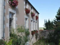 Le Cep en Sancerrois 