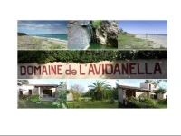 Domaine de lAvidanella 