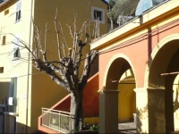 Fontana de medge 
