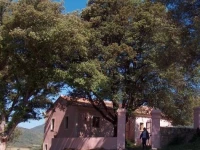Campo Longo 