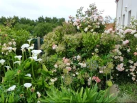 Chambres dHГґtes aux Poulains 