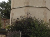 Le Colombier de la Graverie 